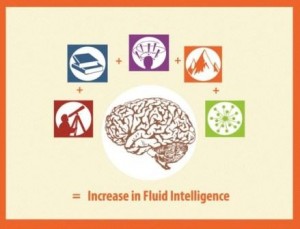 fluid intelligence